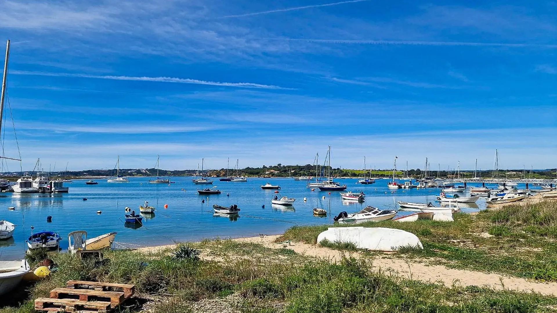 Villa Magnolia - By Bedzy Alvor